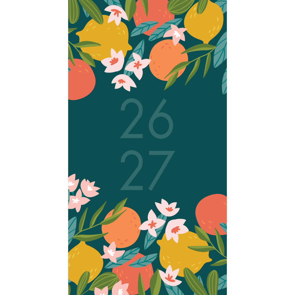 2026-2027 Willow Creek Press 2-Year Monthly Checkbook/Calendar,