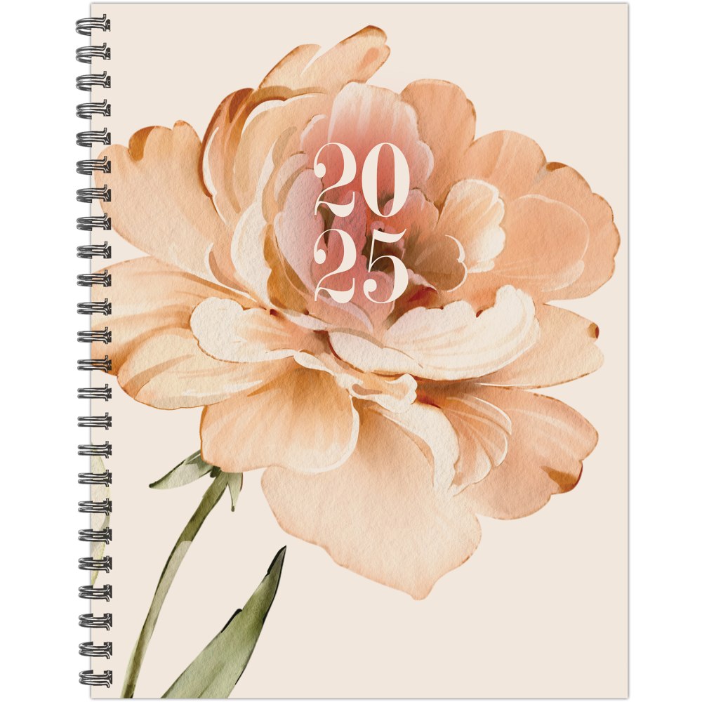 Willow Creek Press Weekly/Monthly Softcover Planner, 8-1/2” x