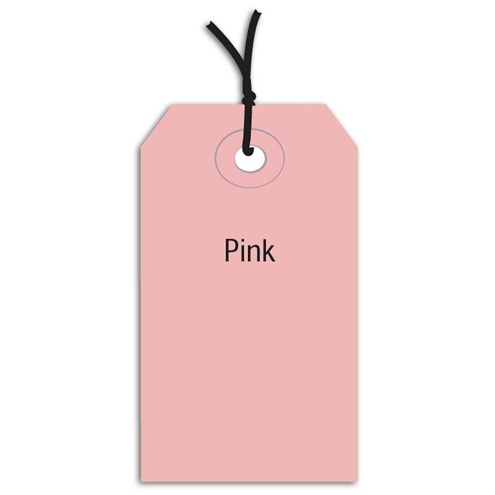 Partners Brand Prestrung Color Shipping Tags, #5, 4