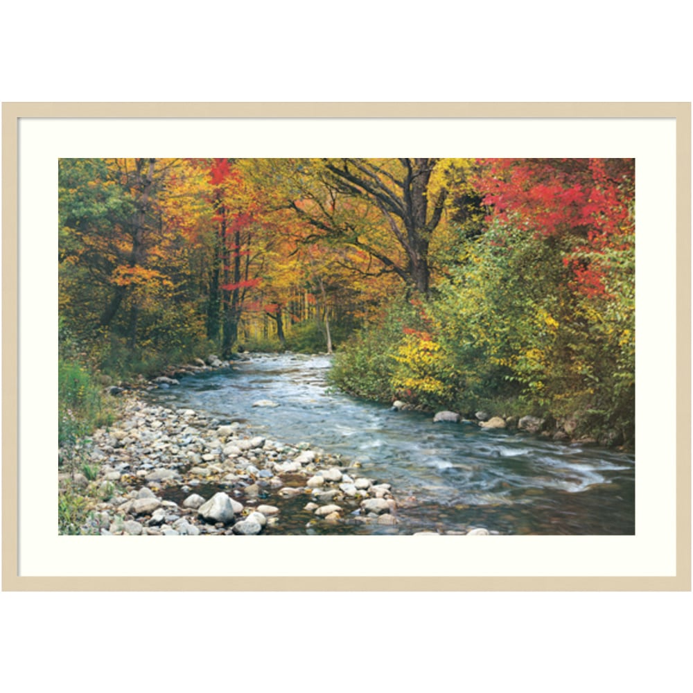 Amanti Art Forest Creek I Wood Framed Wall