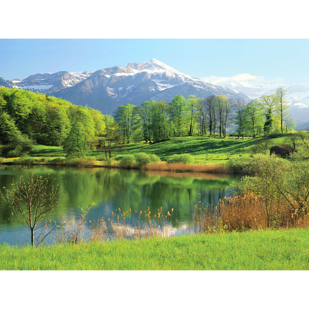 Biggies Landscape/Seascape Mural, 48" x 36", Unframed,