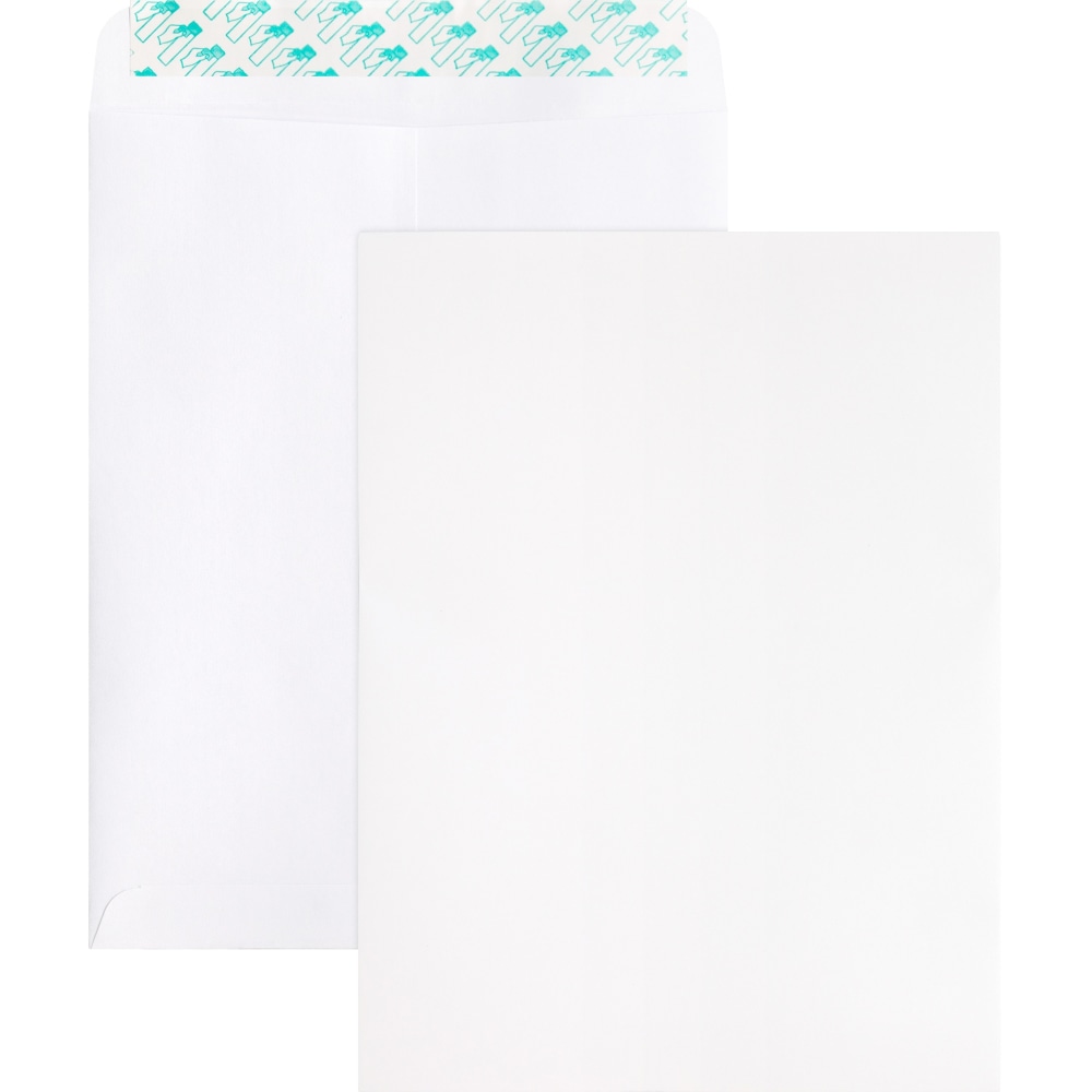 Business Source Self Sealing Catalog Envelope - Catalog