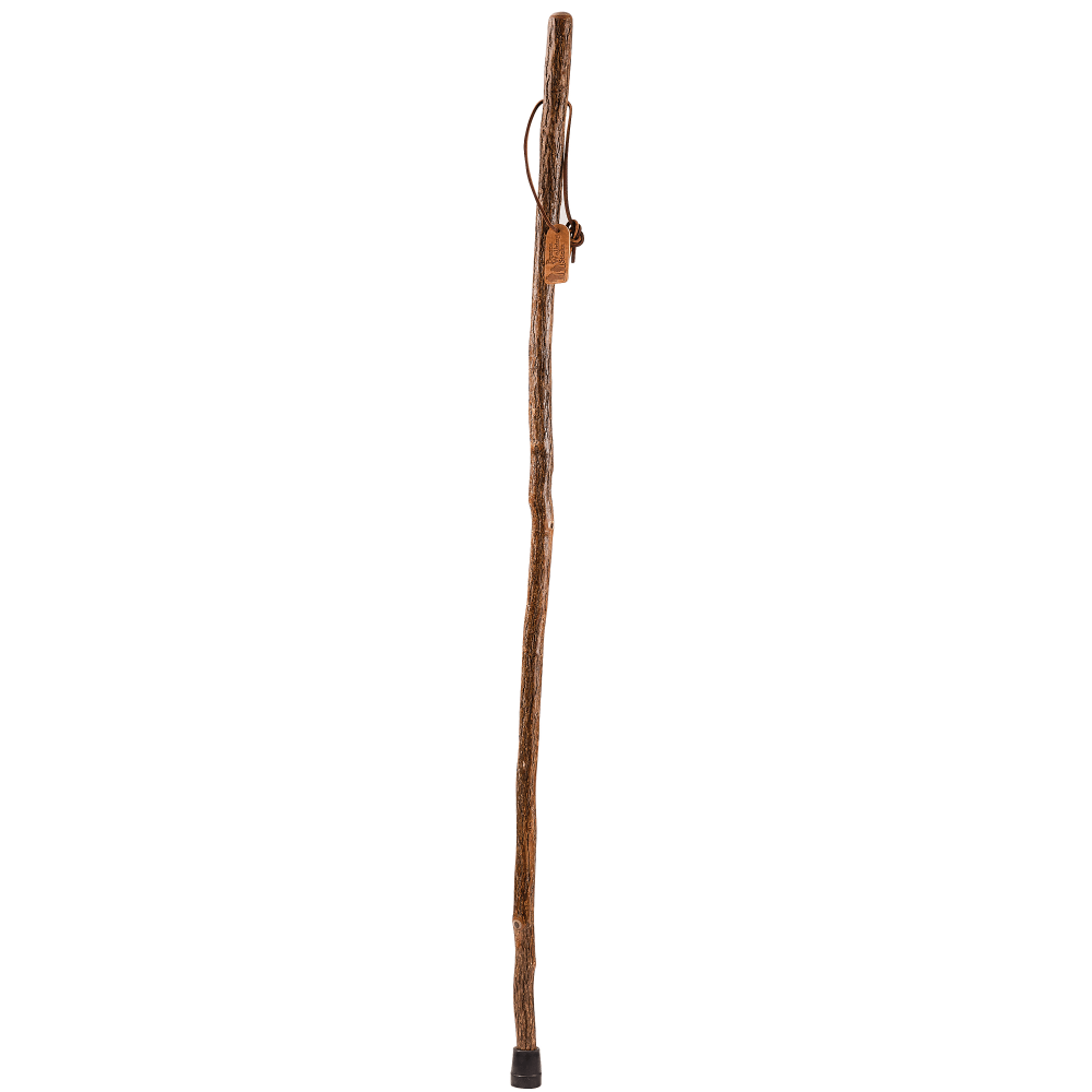 Brazos Walking Sticks™ Free Form Sassafras Walking Stick,