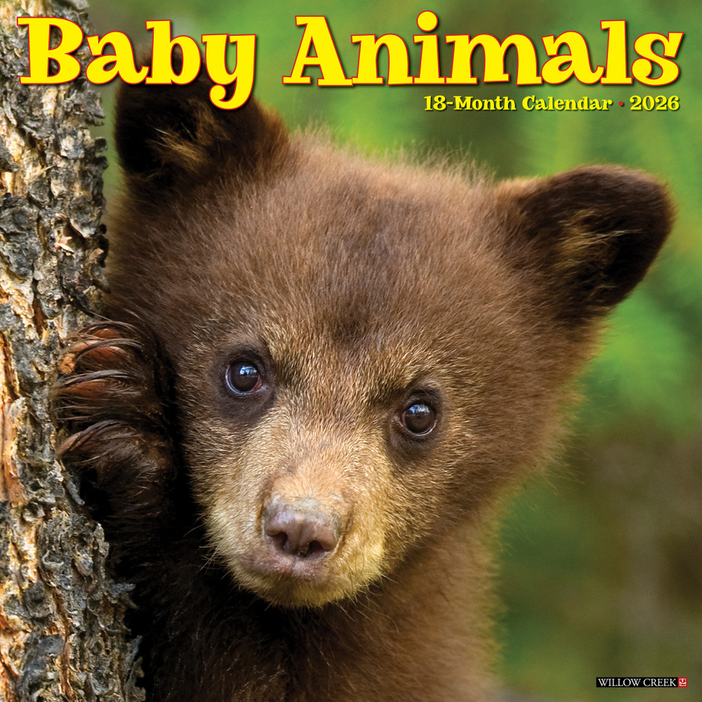 2026 Willow Creek Press Animals Monthly Wall Calendar,