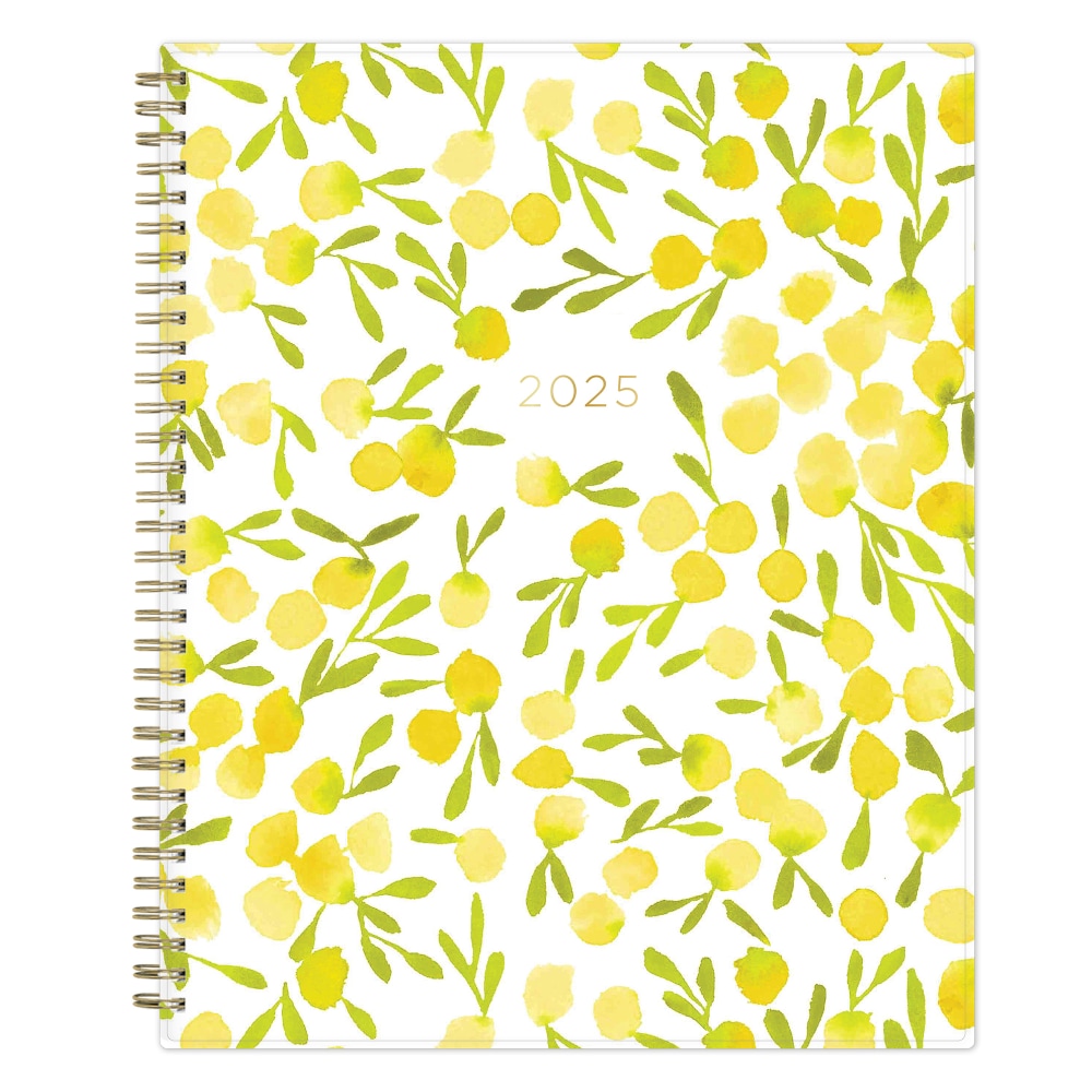 2025 Blue Sky Weekly/Monthly Planning Calendar, 8-1/2” x