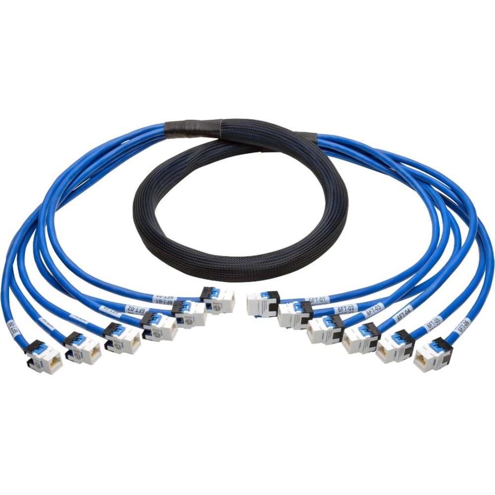 Tripp Lite Augmented Cat6/Cat6a Pre-Terminated Copper Trunk