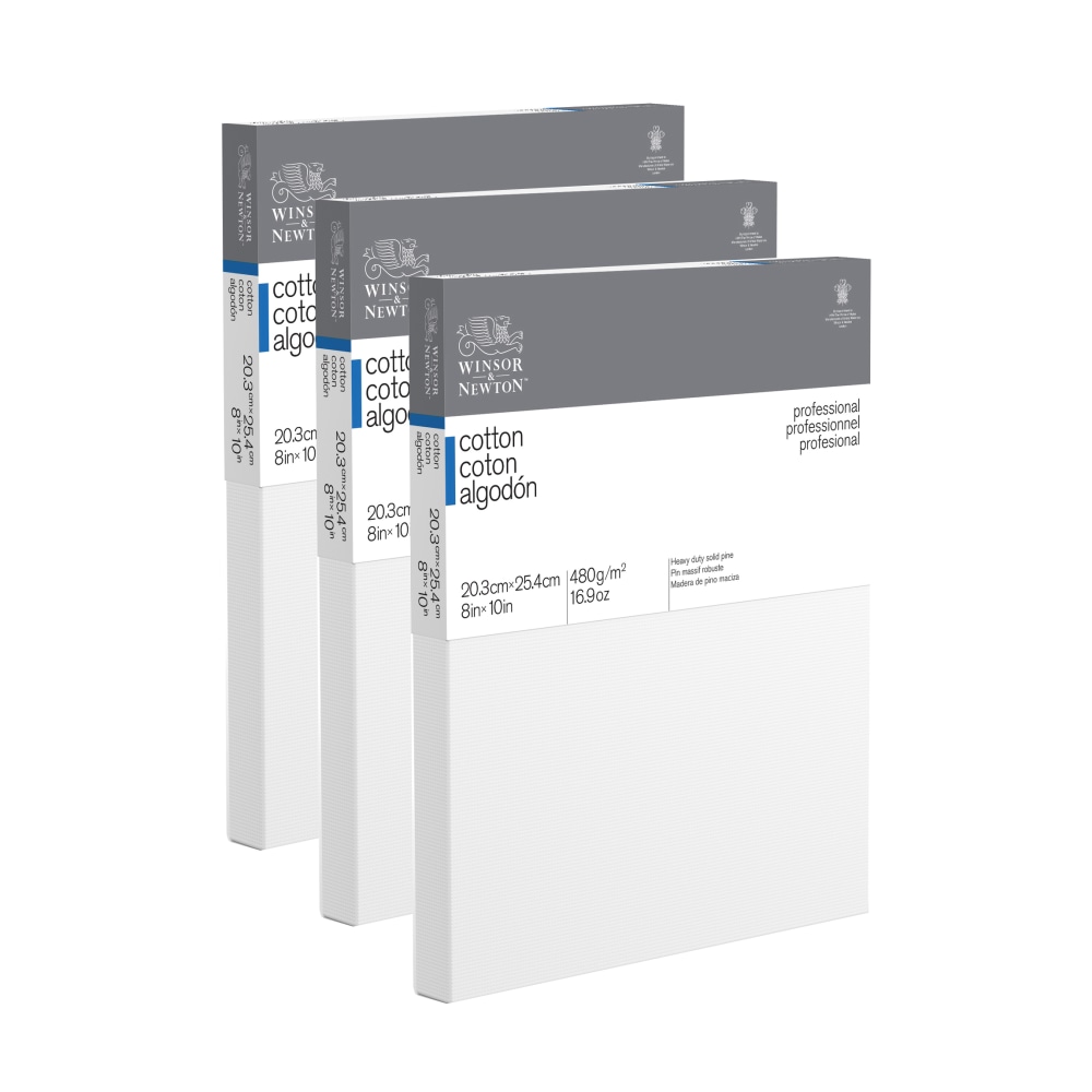 Winsor & Newton Professional Cotton-Stretched Traditional