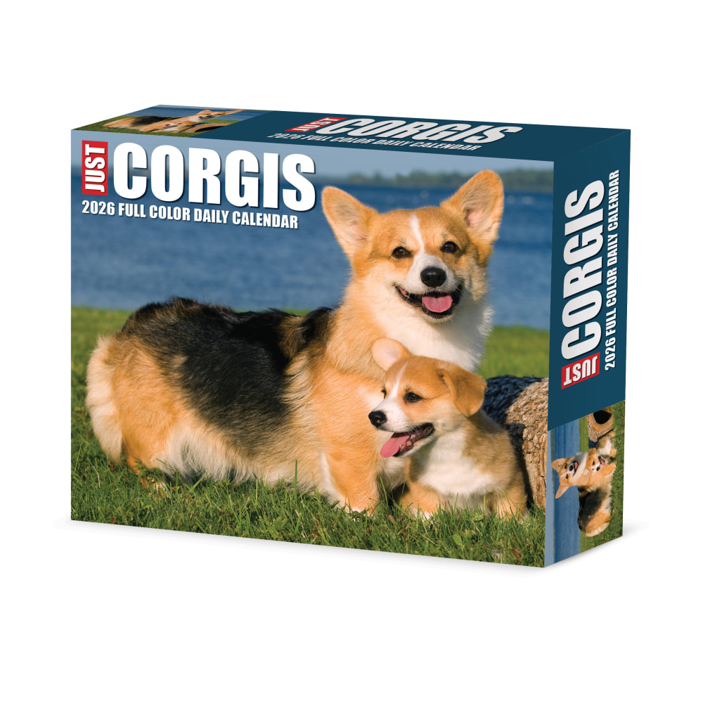 2026 Willow Creek Press Page-A-Day Daily Desk Calendar,