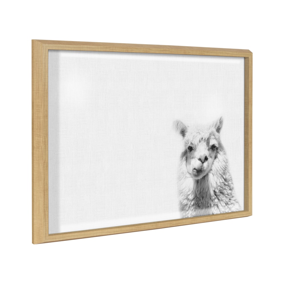 Kate and Laurel Blake Non-Magnetic Framed Dry-Erase Printed
