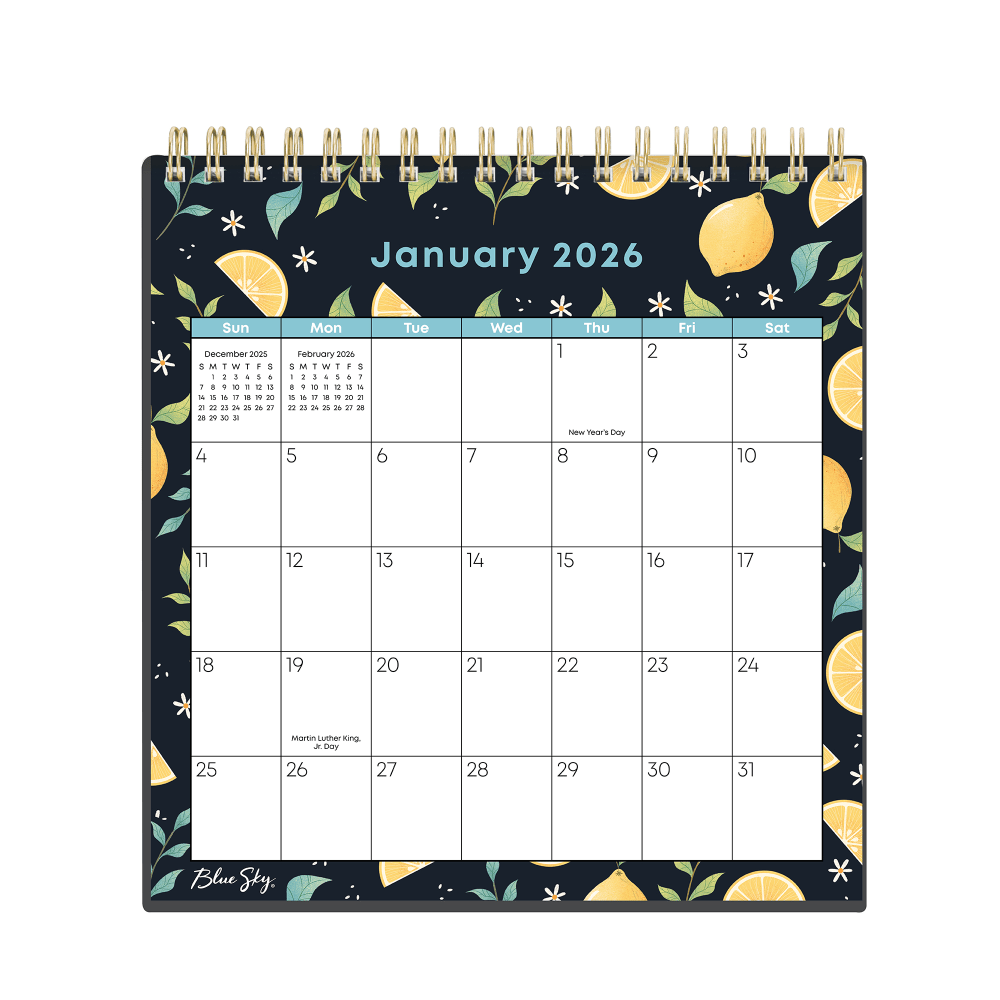 2026 Blue Sky Monthly Desk Calendar With Stand,