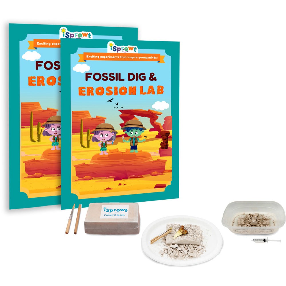 iSprowt STEM Science Class Kits, Fossil Dig &