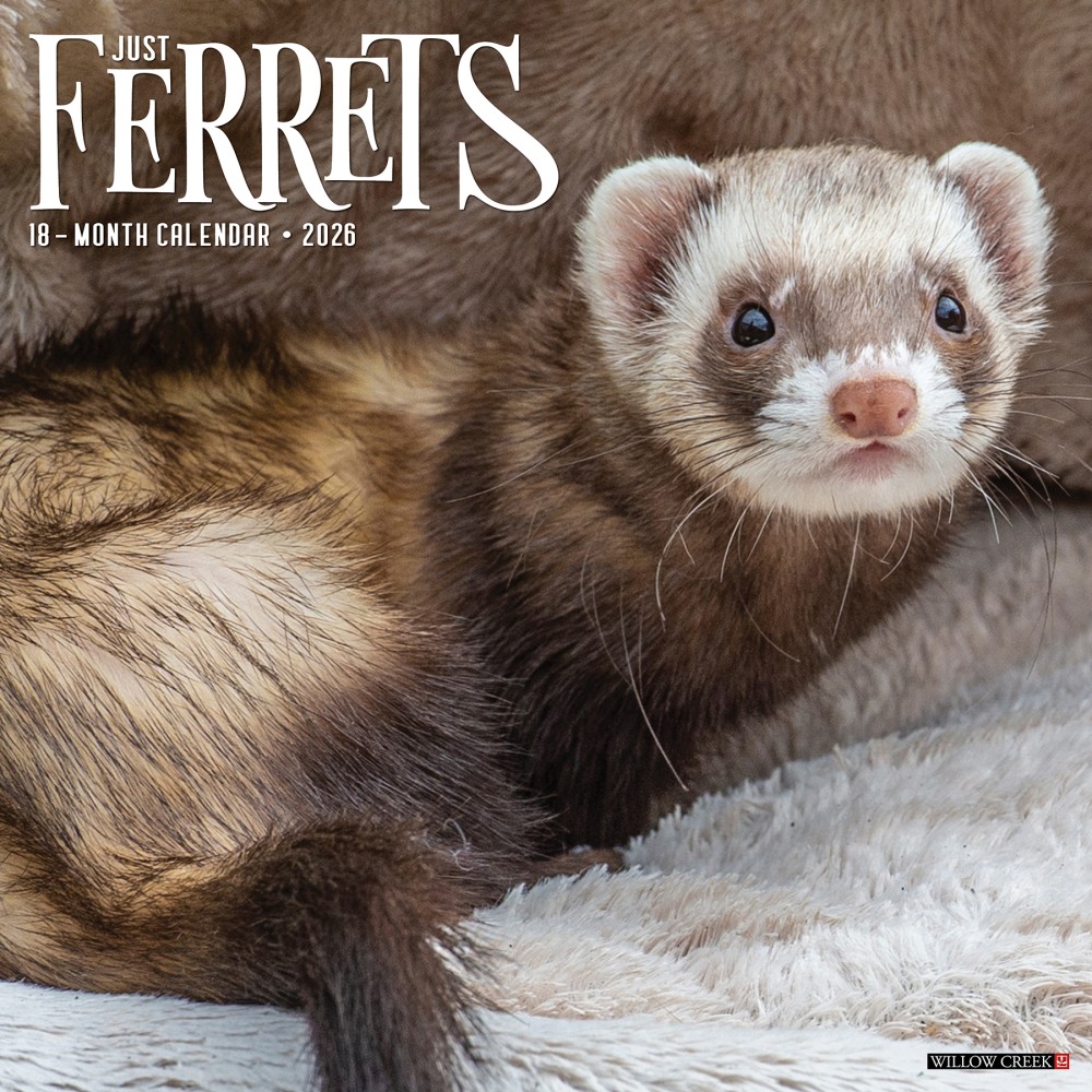 2026 Willow Creek Press Animals Monthly Wall Calendar,