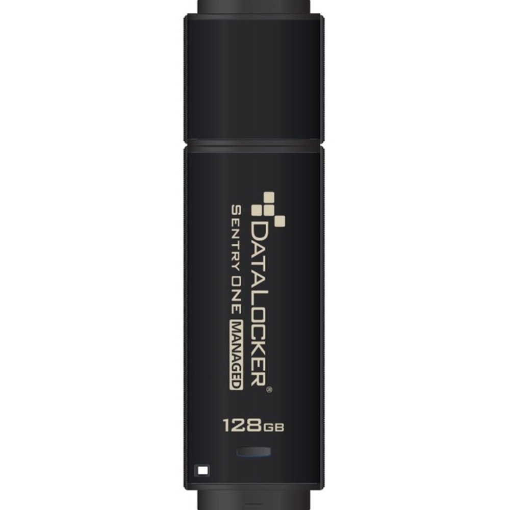 DataLocker Sentry ONE Managed Encrypted Flash Drive -