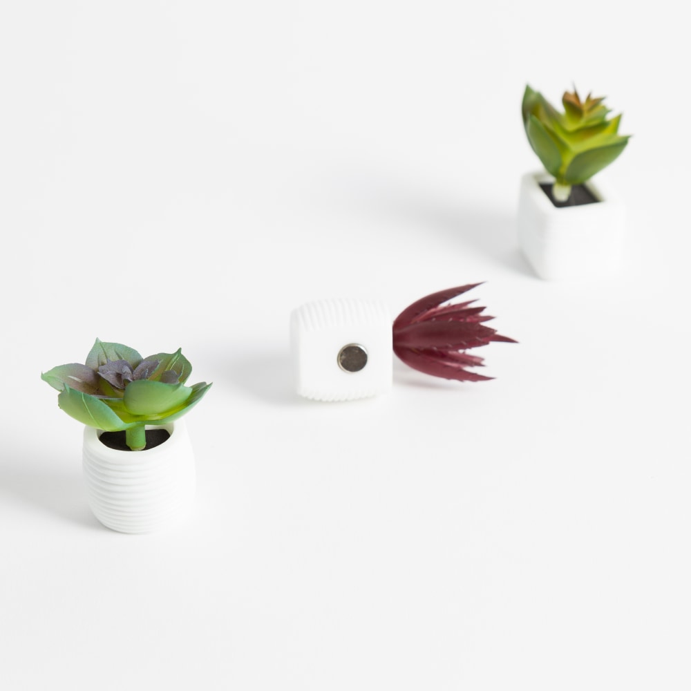 U Brands Succulent Magnets, Multicolor, Pack Of 3