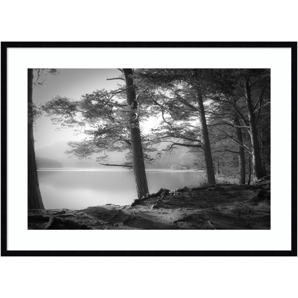 Amanti Art Scottish Lake by Dorit Fuhg Wood