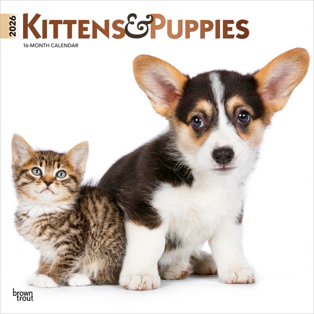 2026 BrownTrout Kittens & Puppies Monthly Plastic-Free Square