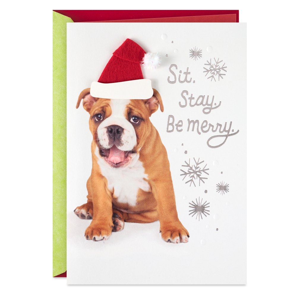Hallmark Christmas Card (Happy from Head to Tail,