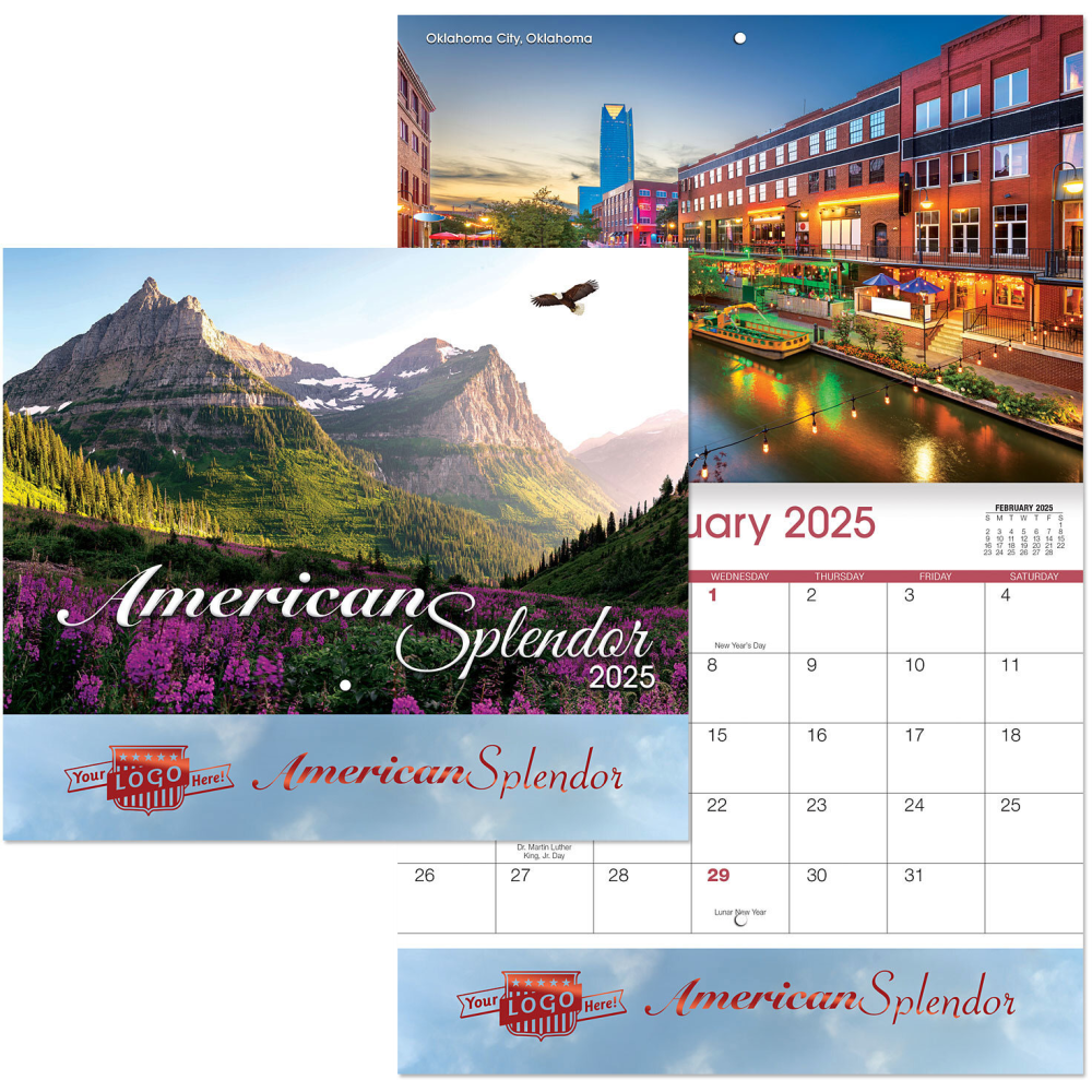 American Splendor 13-Month Wall Calendar, 9 1/2" x