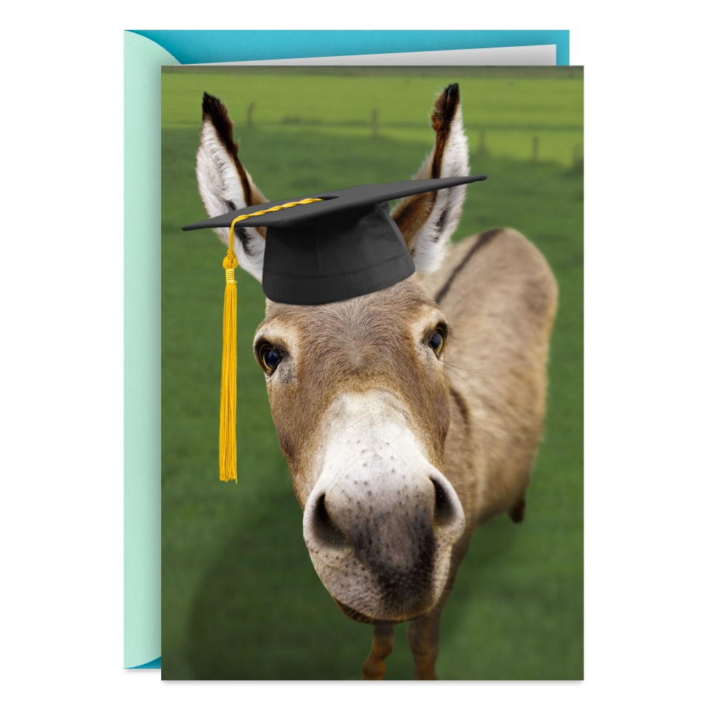 Hallmark Shoebox Funny Graduation Card (Congratulations, Smartass)