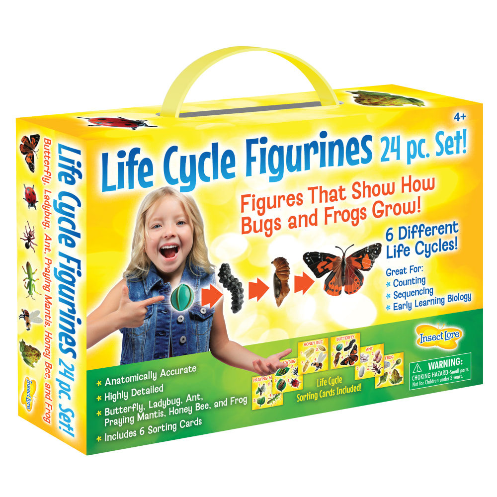 Insect Lore Life Cycle Figurines, Set Of 24