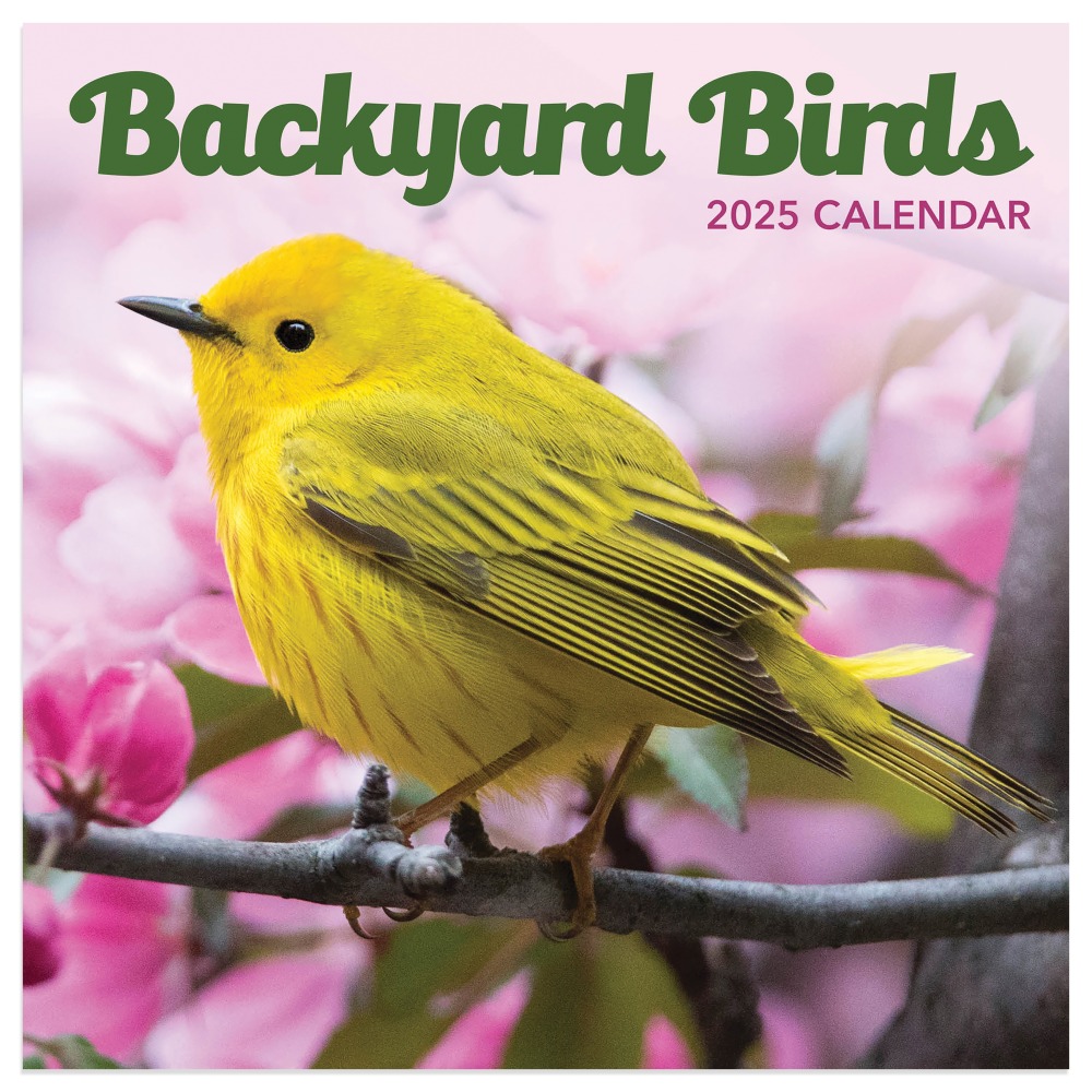 2025 TF Publishing Monthly Mini Wall Calendar, 7”