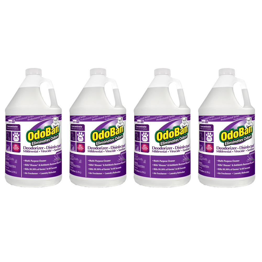 OdoBan Professional Disinfectant and Odor Eliminator Concentrate,