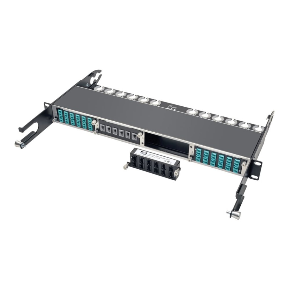Tripp Lite 100Gb / 120Gb Pass-Through Cassette 12