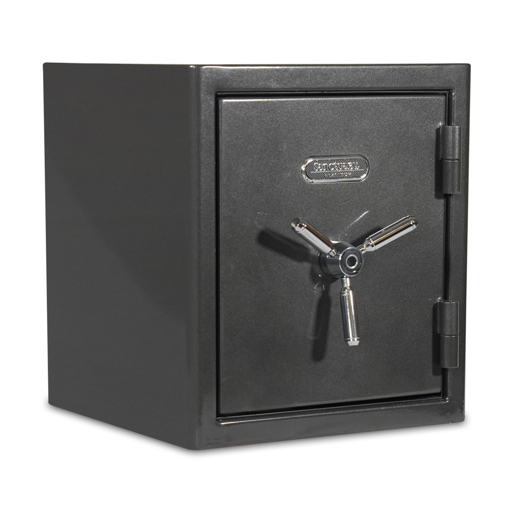 Sanctuary Platinum Biometric Home/Office Safe, 1.96 Cu. Ft.,