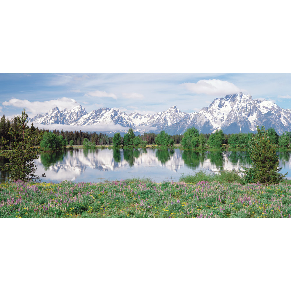 Biggies Wall Mural, 27" x 54", Mountain Flower