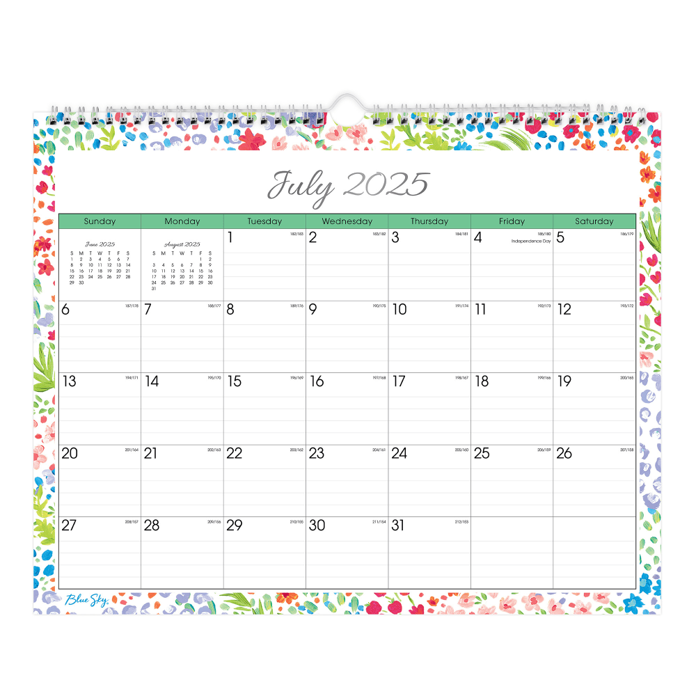 Blue Sky 2025 2026 Day Designer Monthly Wall