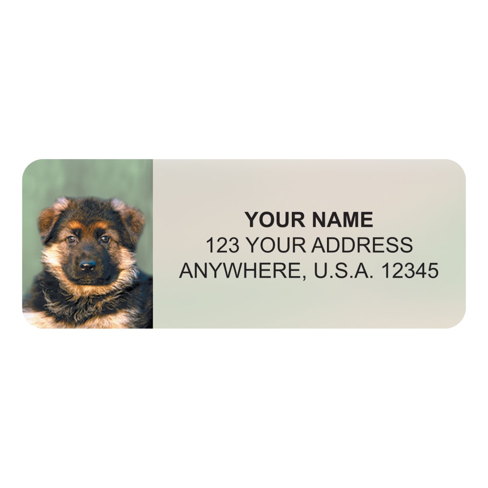 Harland Clarke Address Sheet Labels, 2 1/2" x