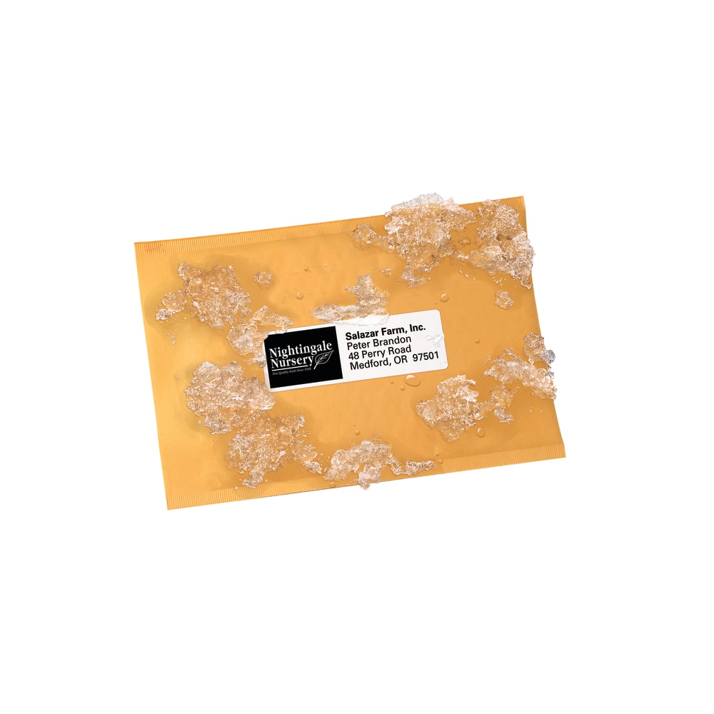 Avery® WeatherProof Mailing Labels With TrueBlock Technology,