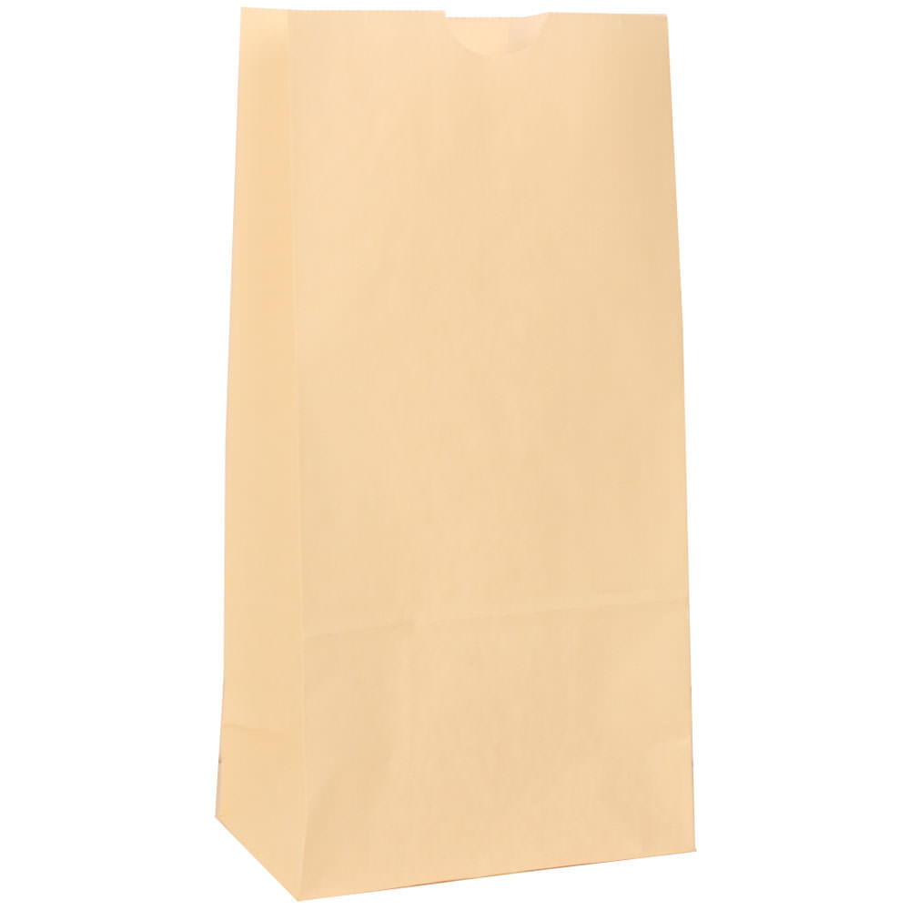 JAM Paper® Small Kraft Lunch Bags, 8"H x