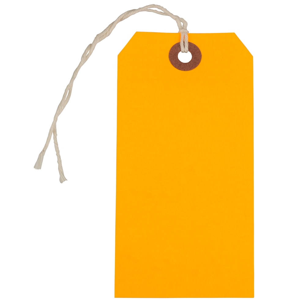 JAM Paper® Medium Gift Tags, 4-3/4" x 2-3/8",