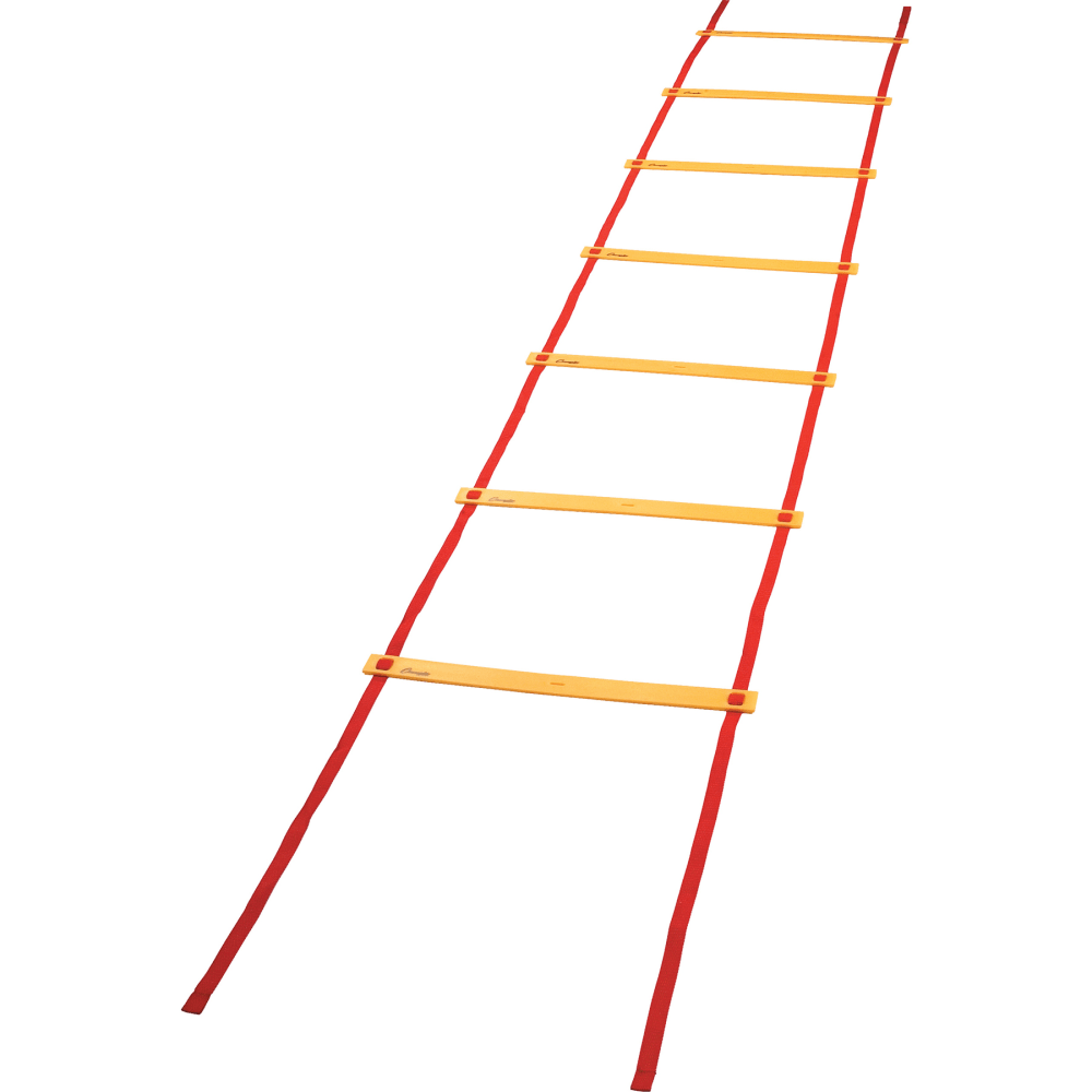 Champion Sports Economy Agility Ladder, 240"H x 20"W