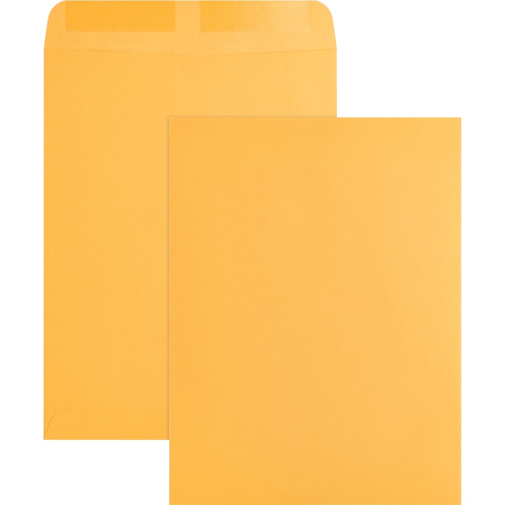 Business Source Kraft Gummed Catalog Envelopes - Catalog