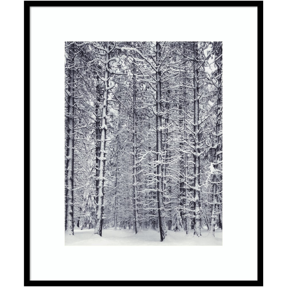 Amanti Art Pine Forest In The Snow Yosemite