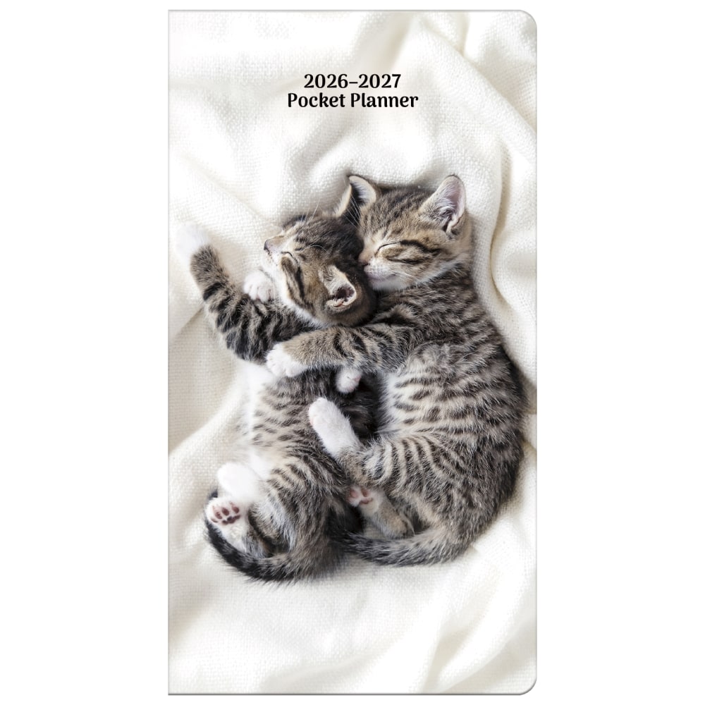2026-2027 DateWorks Monthly Pocket Planner, 3-1/2" x
