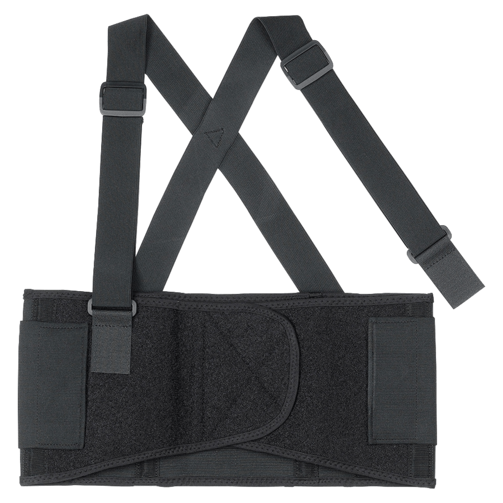 ProFlex 1650 L Black Economy Elastic Back Support