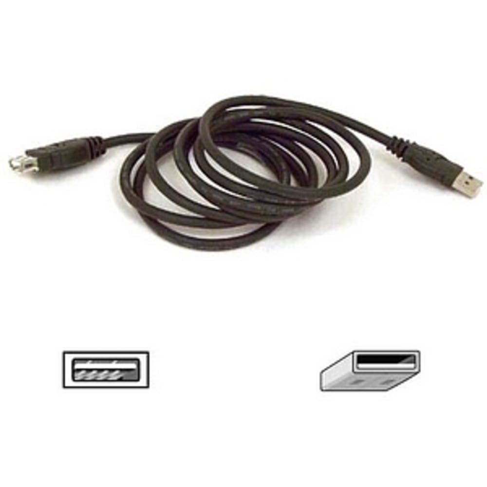 Belkin USB Extender Cable - Type A Male