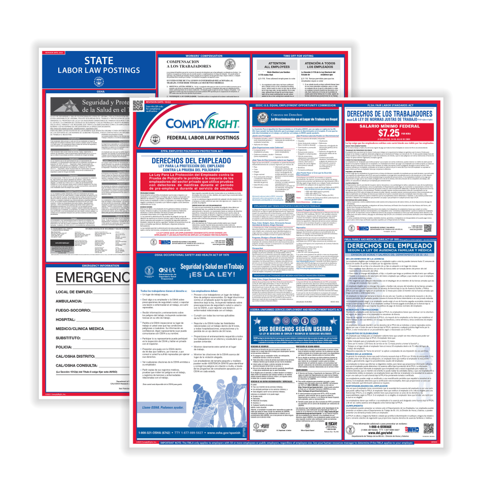 ComplyRight™ Federal And State Labor Law Poster Set,