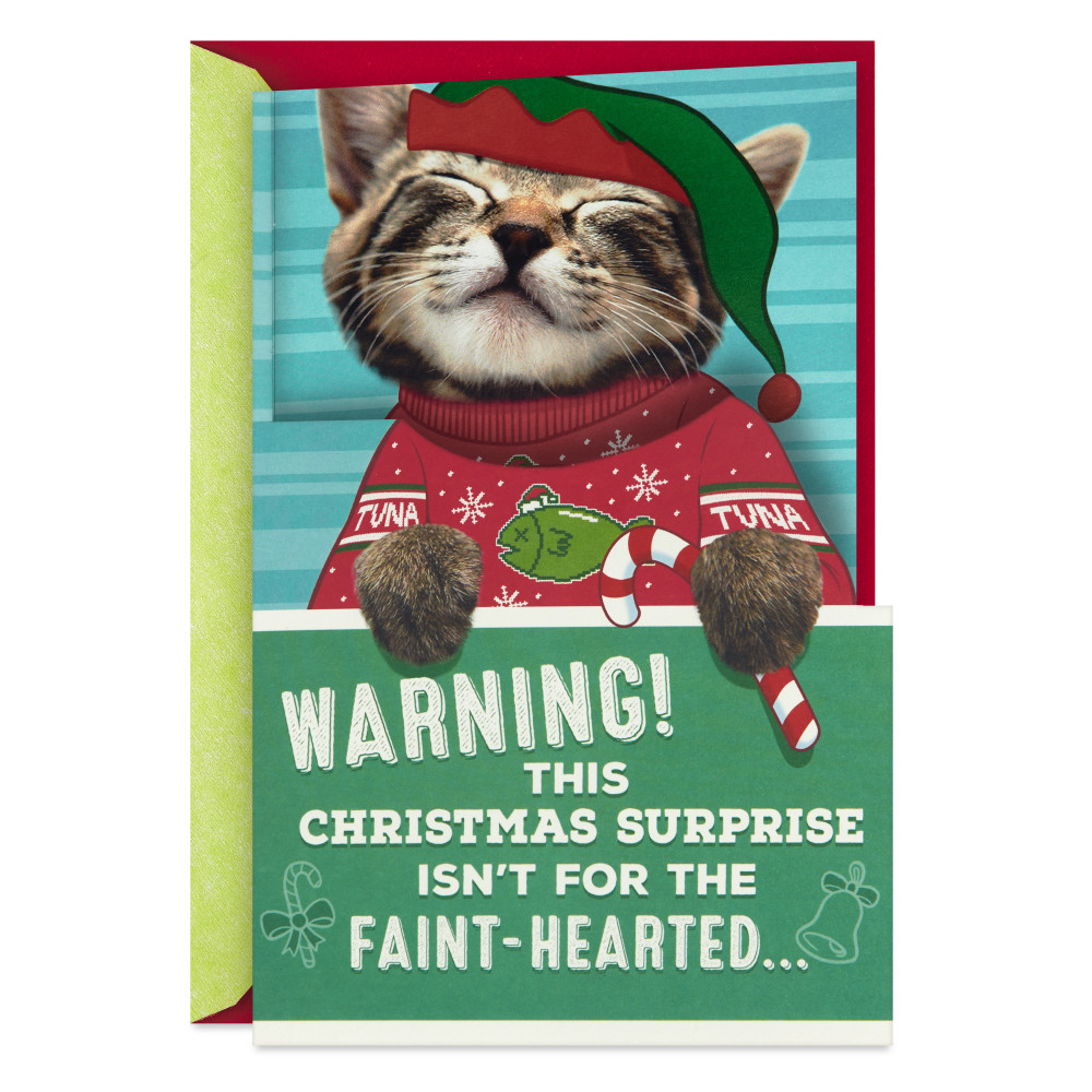 Hallmark Funny Christmas Card With Sound and Motion