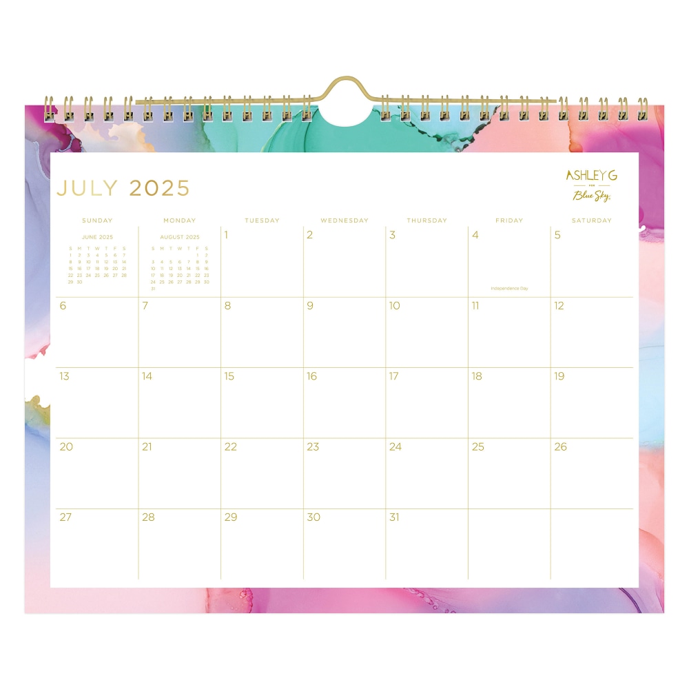 Blue Sky 2025 2026 Day Designer Monthly Wall