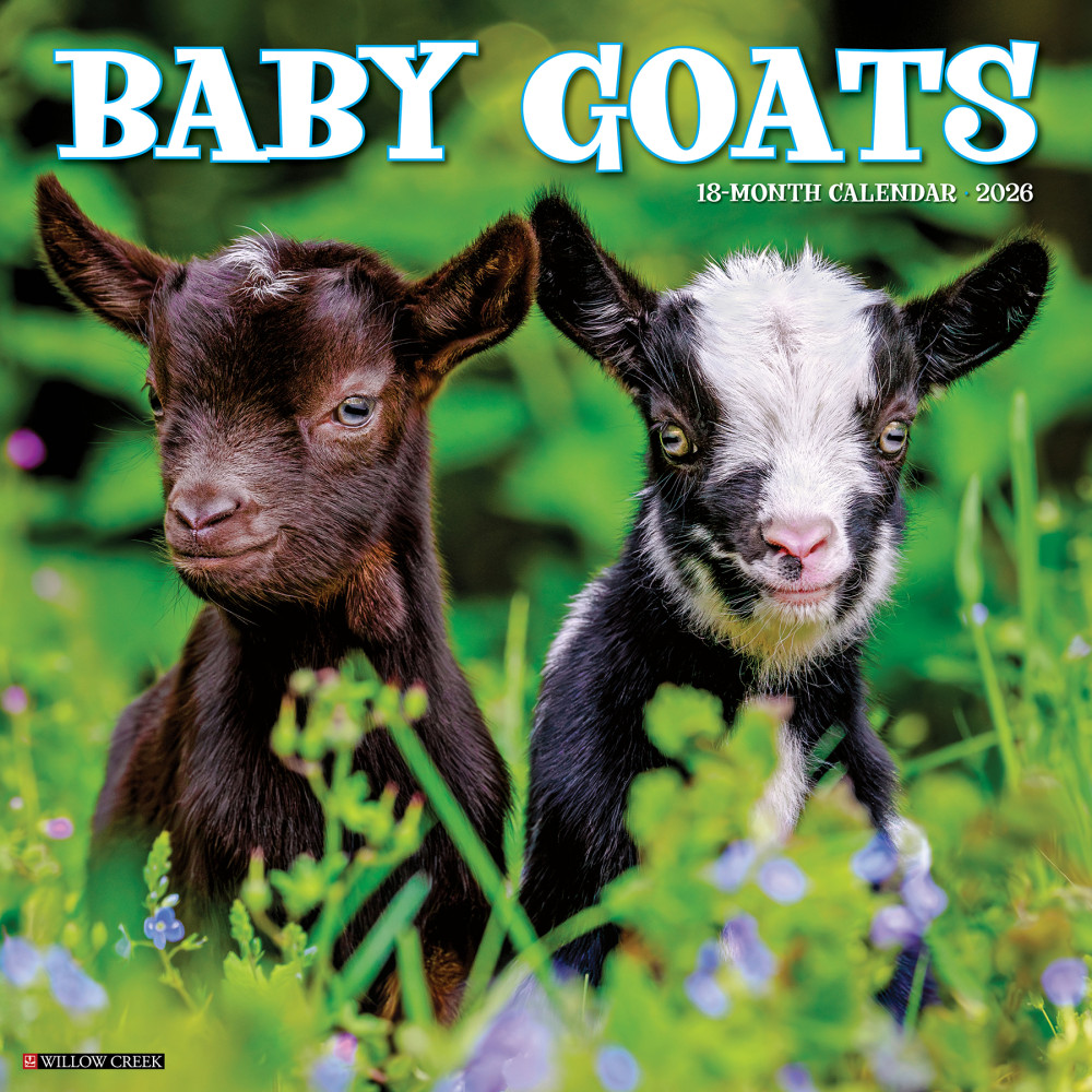 2026 Willow Creek Press Animals Monthly Wall Calendar,