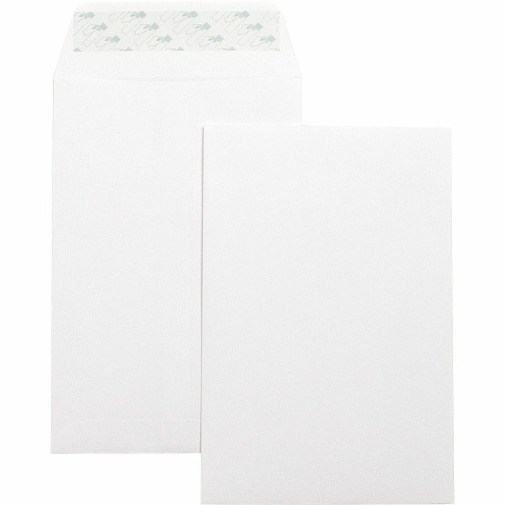 Business Source Self-Seal 6"x9" Catalog Envelopes -