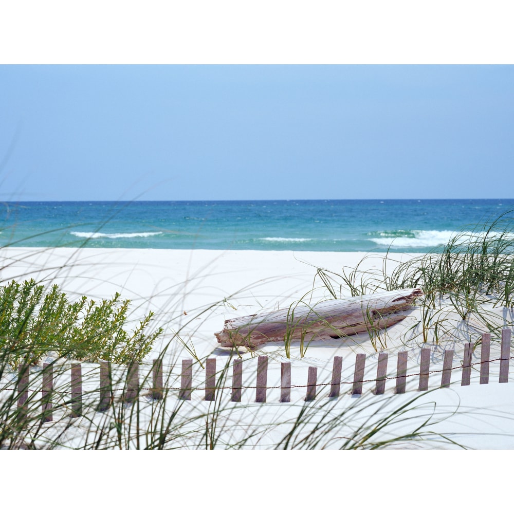 Biggies Landscape/Seascape Mural, 24" x 18", Unframed,