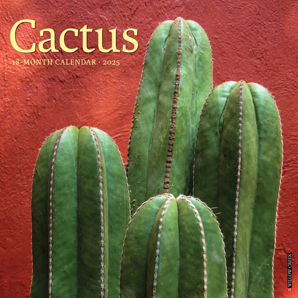 2025 Willow Creek Press Monthly Wall Calendar, 12"