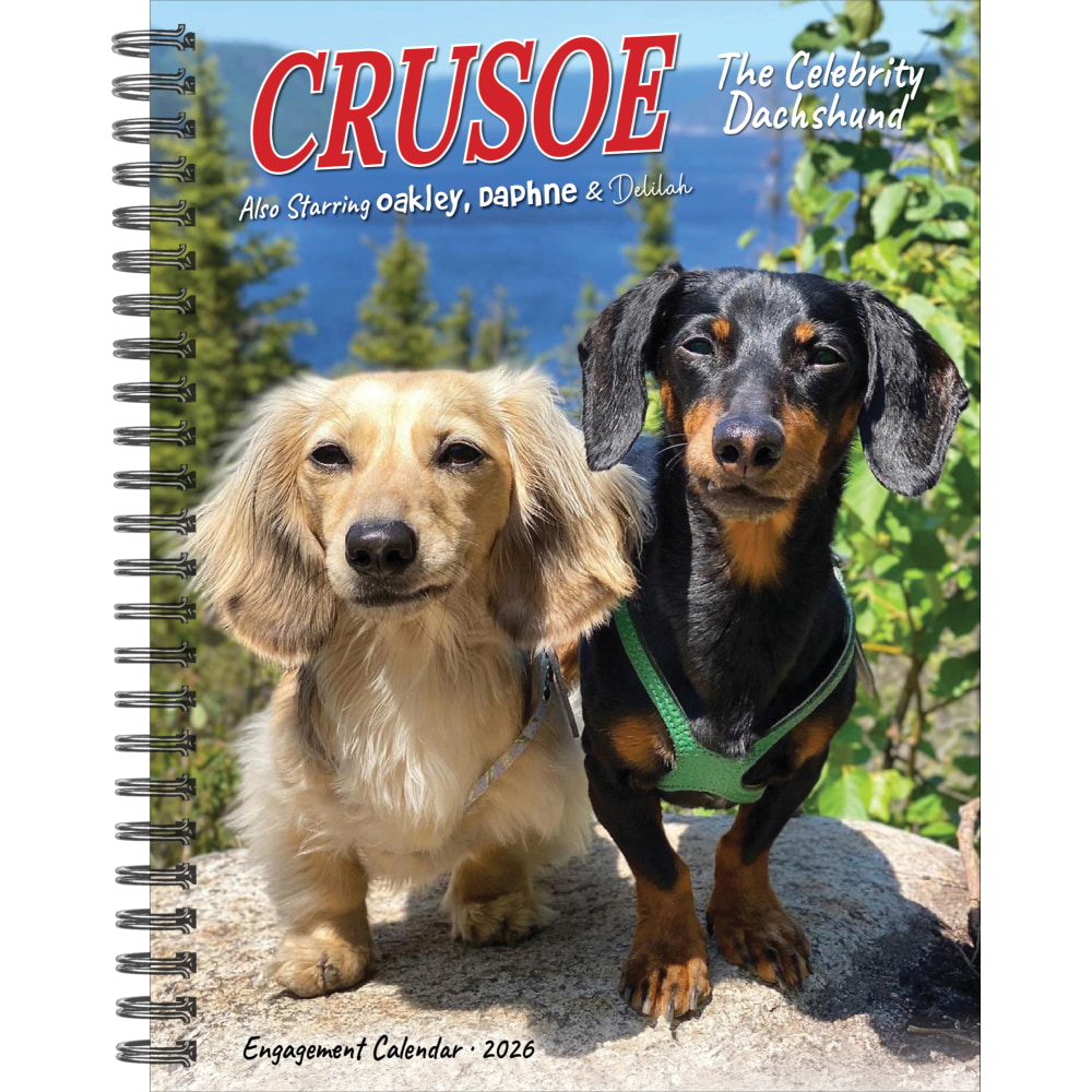 2026 Willow Creek Press Weekly Engagement Calendar, 6-1/2"