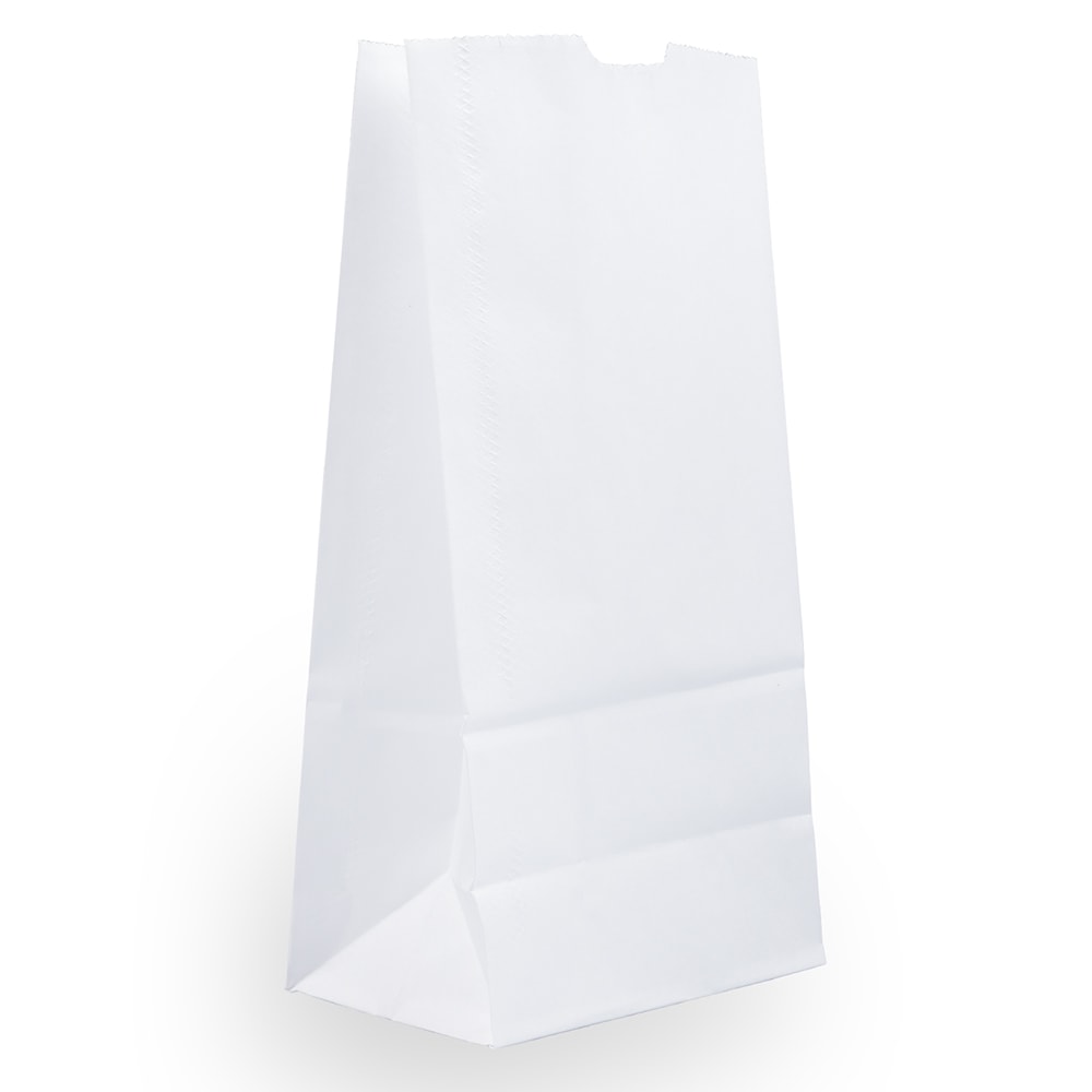 JAM Paper® Medium Kraft Lunch Bags, 9 3/4
