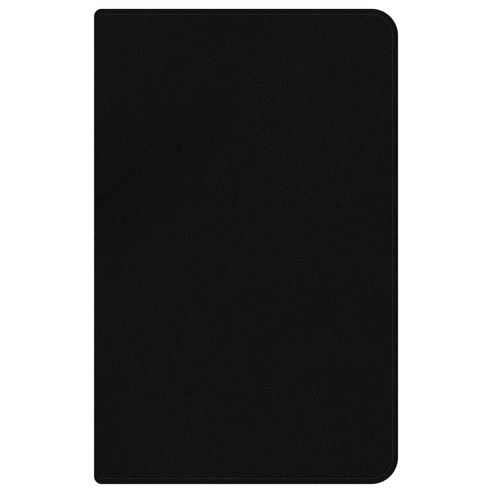2026 Blue Sky Weekly/Monthly Planner, 5" x 8",